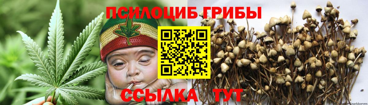 Галлюциногенные грибы Psilocybine cubensis  Вход с VPN  купить наркотик  Красноярск 